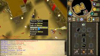 Runescape-Where and How to get a HellKitten