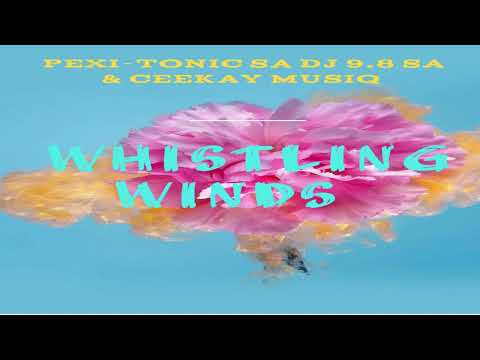 Whistling winds (Pexi-Tonic SA Dj 9.8 SA & Ceekay Musiq)