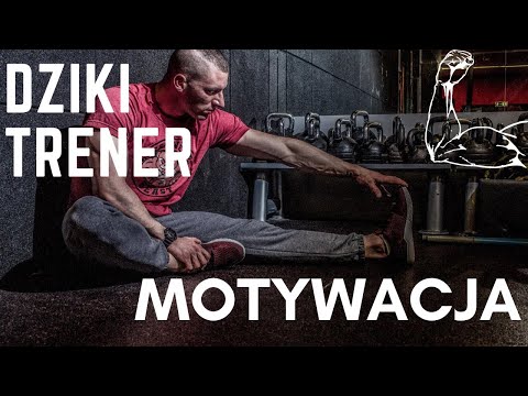 Dziki Trener - Motywacja | Forma