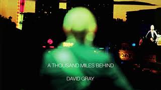David Gray - Buckets of Rain (Official Audio)