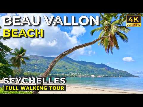 🇸🇨 BEAU VALLON Beach Seychelles 2024, Full Beach Walking Tour LIKE NEVER BEFORE!