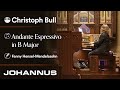 Monarke Church Organs - Andante espressivo in B Major, F. Hensel-Mendelssohn, by Cristoph Bull