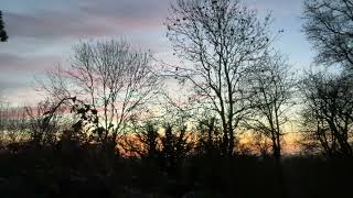 Meditation Monday – Sunrise and Spring Birdsong