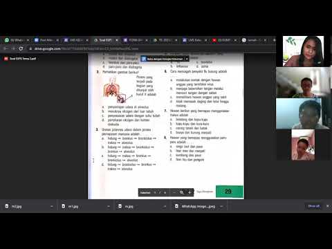 Pembelajaran IPA Tema 2 Pembahasan Buku ESPS