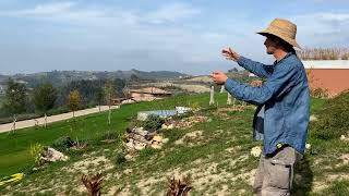 The Organic Gardens of Casa di Langa