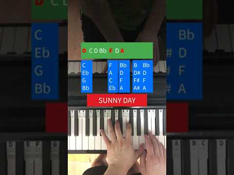Sunny Day - Misc Your Songs