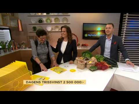 Se de fyra mest klickade Triss-vinnarna - Nyhetsmorgon (TV4)