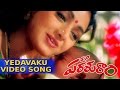SP Parasuram Movie Yedavaku Amma Full Video Song Chiranjeevi Sridevi