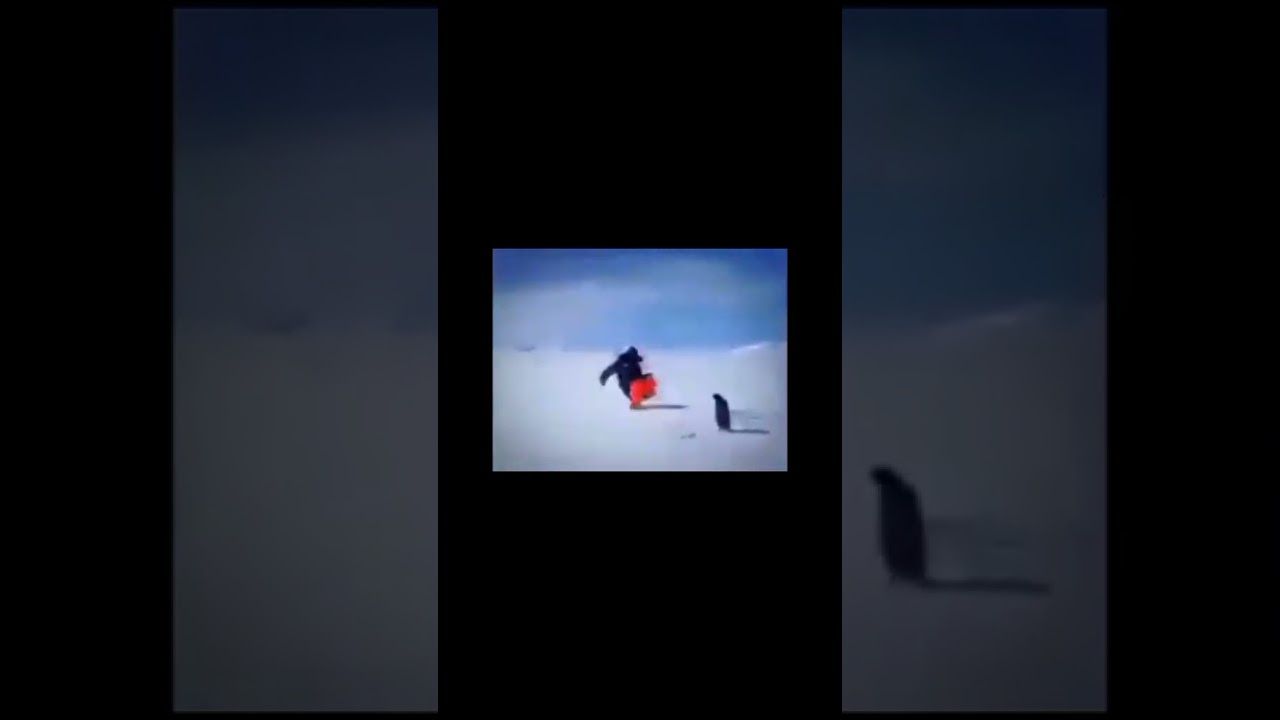 22 de febrero de 2026