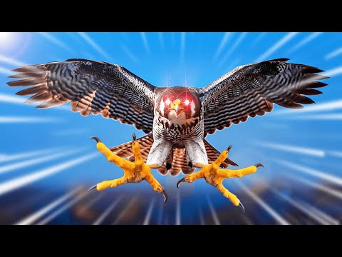 L'Insolence Des Faucons