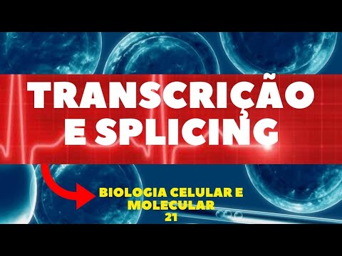 COMO OCORRE A TRANSCRIÇÃO E SPLICING - BIOLOGIA CELULAR E MOLECULAR - AULA 21