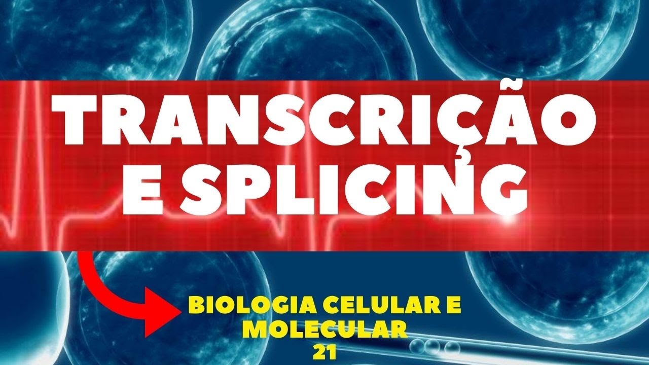 COMO OCORRE A TRANSCRIÇÃO E SPLICING - BIOLOGIA CELULAR E MOLECULAR - AULA 21
