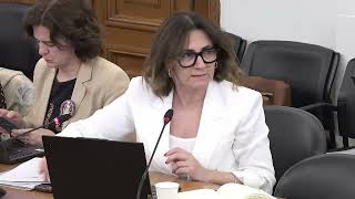 2026 06 01 - Audição da Confederação Nacional das Instituições de Solidariedade