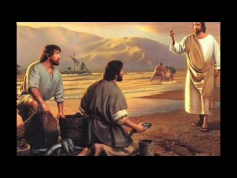 Petar - VIS Sperantes