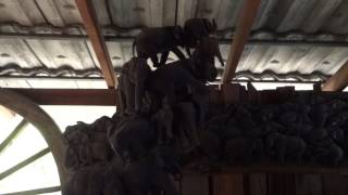 Thailand - The Elephant Man and Umbrellas