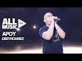 GREYHOUNDZ - Apoy (MYX Live! Performance)