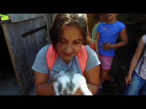 Engstligenalp Adelboden YouTube-Vdeominiatur 15