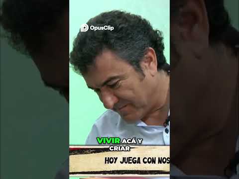 Pocito  Mi rincón secreto lleno de maravillas en San Juan