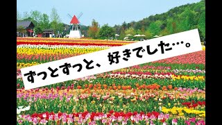 「世界はこんなにも、色で満ちていた…。」世界を色付けるRPG・勇者と色無しの魔女実況【かる】