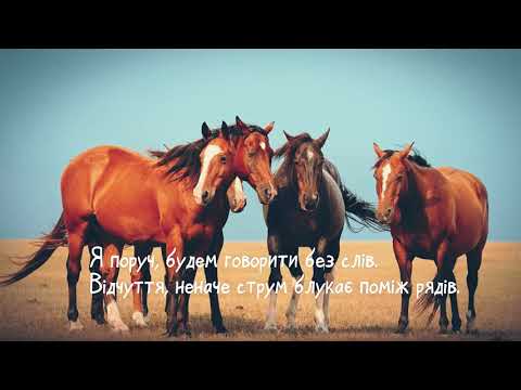 ФІРА — Лавина
