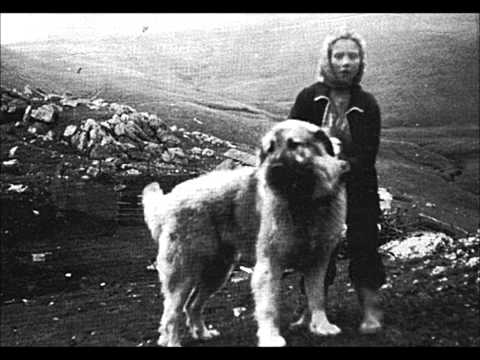 Macedonian Folklore - Sevdelino mome (Nevrokopchani)