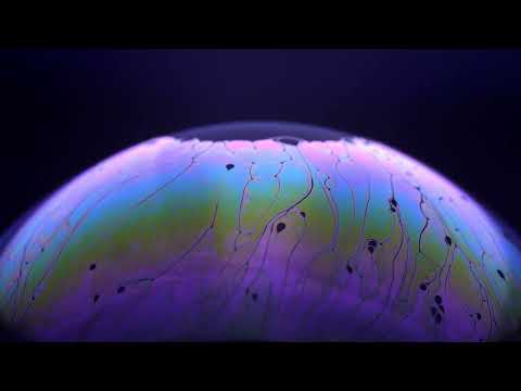 ONUR OZMAN // 4% // ENDOWMENT EFFECT // SUM OVER HISTORIES