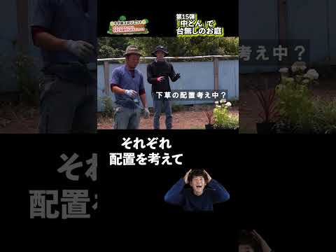 ポットイチジクの木の日陰のあるコーナーガーデンの地中海の低木