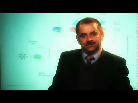 YouTube Video 4
