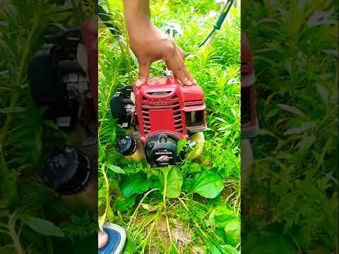 how to start a brush cutter honda umk 435t