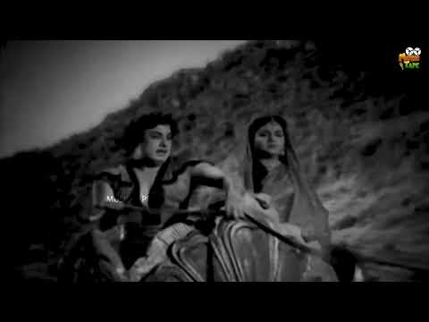 Achcham Enbadhu Video Song in Mannathi Mannan Movie | M.G.Ramachandran , Padmini | Tamil Video Song.