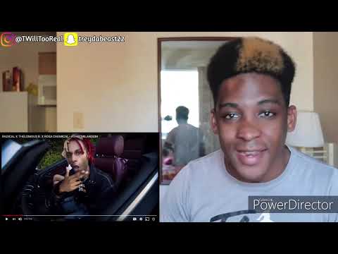 RADICAL X THELONIOUS B - X ROSA CHEMICAL #THOTMILANODM Music Video REACTION!! 😳🔥
