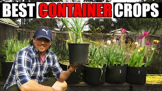 Top 7 Container Veggies For Beginners - Garden Quickie Episode 142