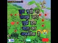 गांव की गलियों से भी छोटी तुम्हारी सोच