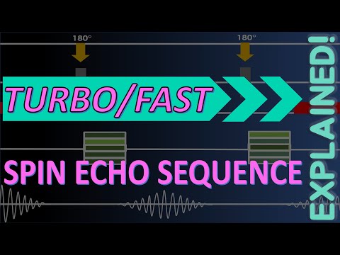The Turbo & Fast Spin Echo Sequence - MRI Pulse Sequences EXPLAINED | MRI Physics Course Lecture 10