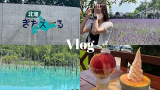 【Vlog】北海道旅行〜後編〜|富良野と美瑛|ラベンダー畑‎✿ |夕張メロン🍈| 推し活 | CDJに参戦✌🏻|社会人vlog