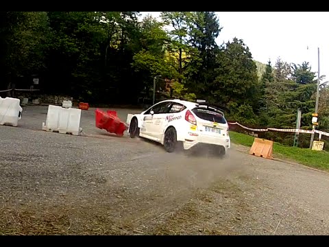 RALLY ALBERTO ALBERTI 2016: TAGLIANI-RISSO FORD FIESTA R5