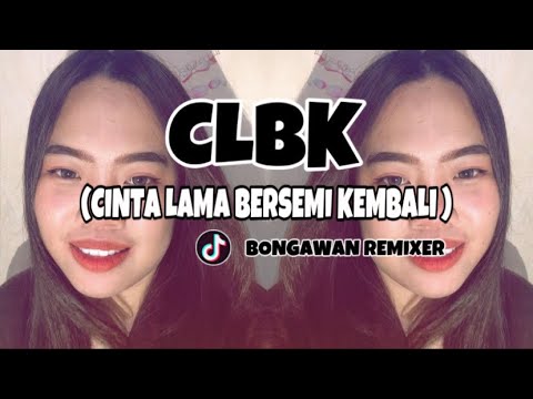 BONGAWAN REMIXER - CLBK ( Cinta Lama Bersemu Kembali ) Viral Tiktok 2025