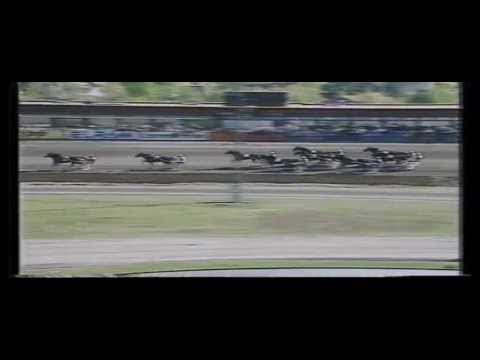 Sugarcane Hanover_Gunnar Eggen_SAS Oslo Grand Prix 1988