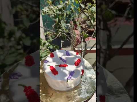 mini cake🍰#cake #minicake #shorts #shortsvideo #viral ##viralvideo #ytshorts