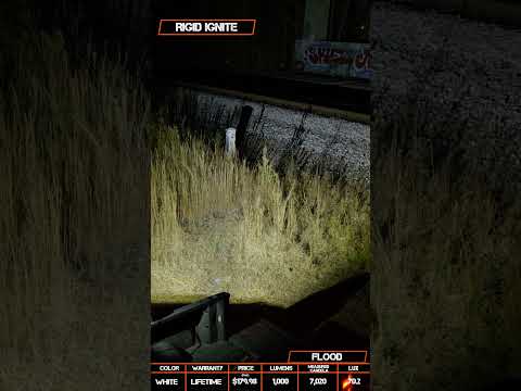 Check out the Rigid Ignite with Flood beam pattern!