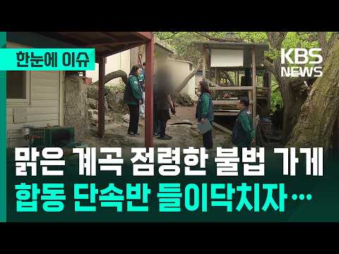 여름 계곡에 허락 없이 지은 가게들, 단속반이 잡으러 나섰어요