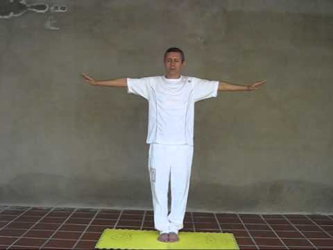 Zhi Neng Nivel 2 v 04 Brazos