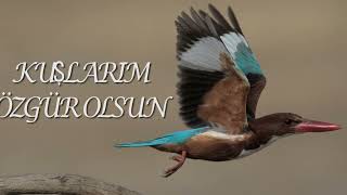 OSMANİYE KIRMITLI KUŞ CENNETİ