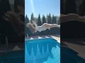 Crazy High Perfect Swan Dive into the Dirty Swimming Pool #shorts