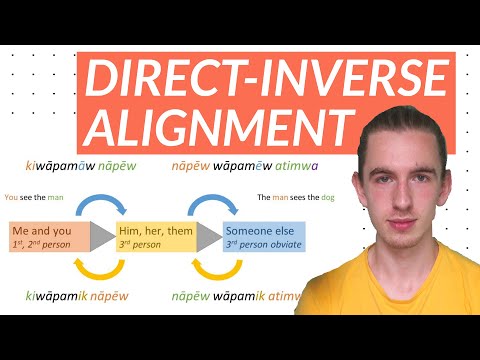Direct-Inverse Alignment in 7 Different Languages