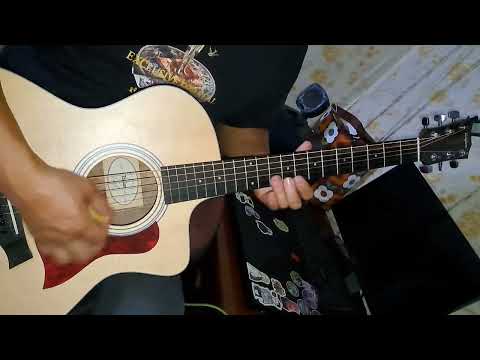 Аяны шувууд