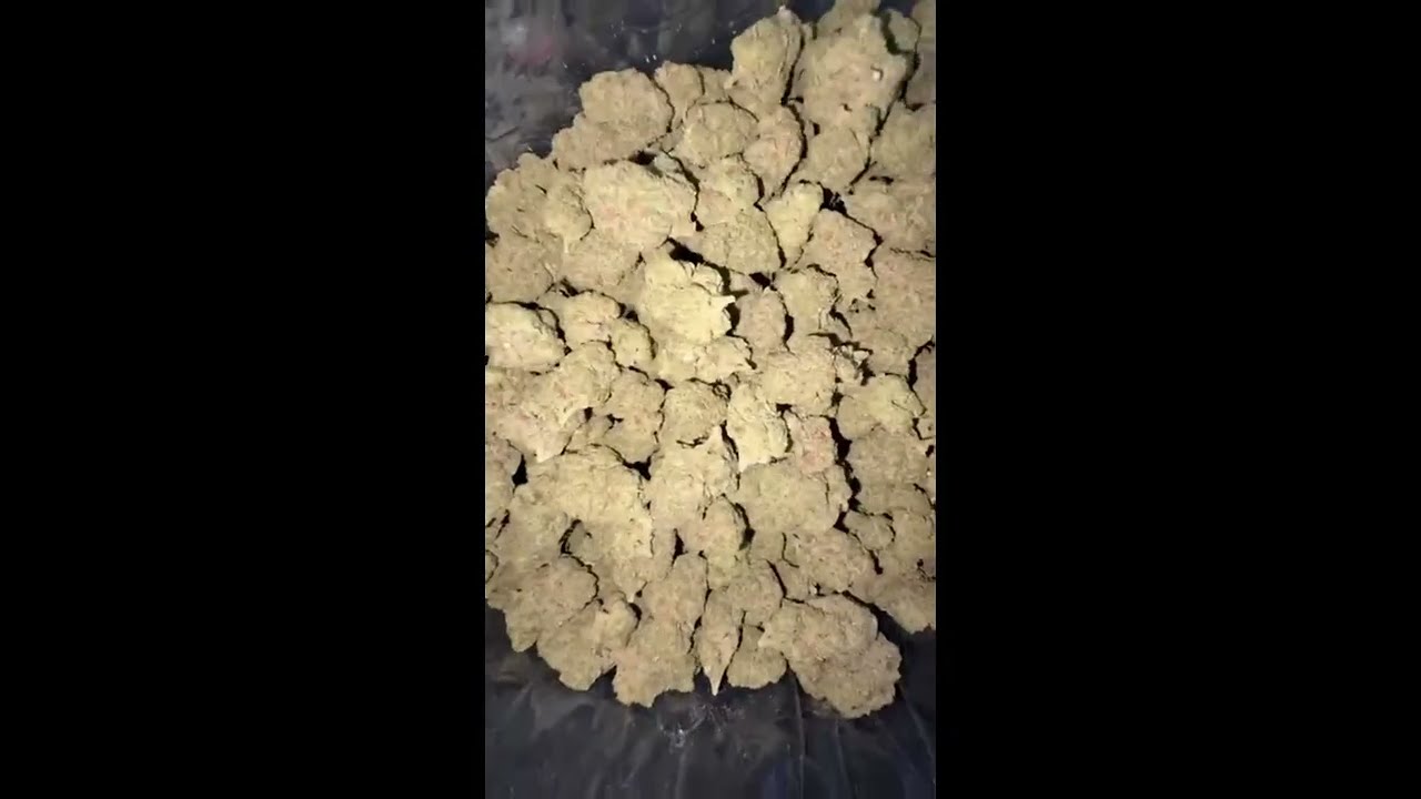 Wholesale THCA Flower Proof Video (Lowest Price Bulk) Touchdown + Tracking + Customer Review