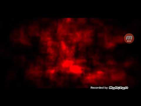 Intro Daria Maria Mihai