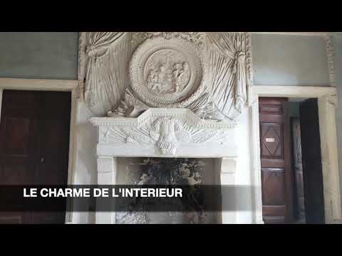 Video vignette