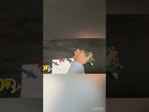 Animals skin (Science class)